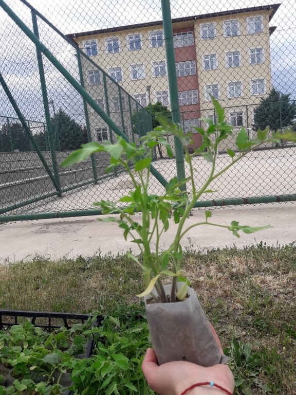 27-05-2021